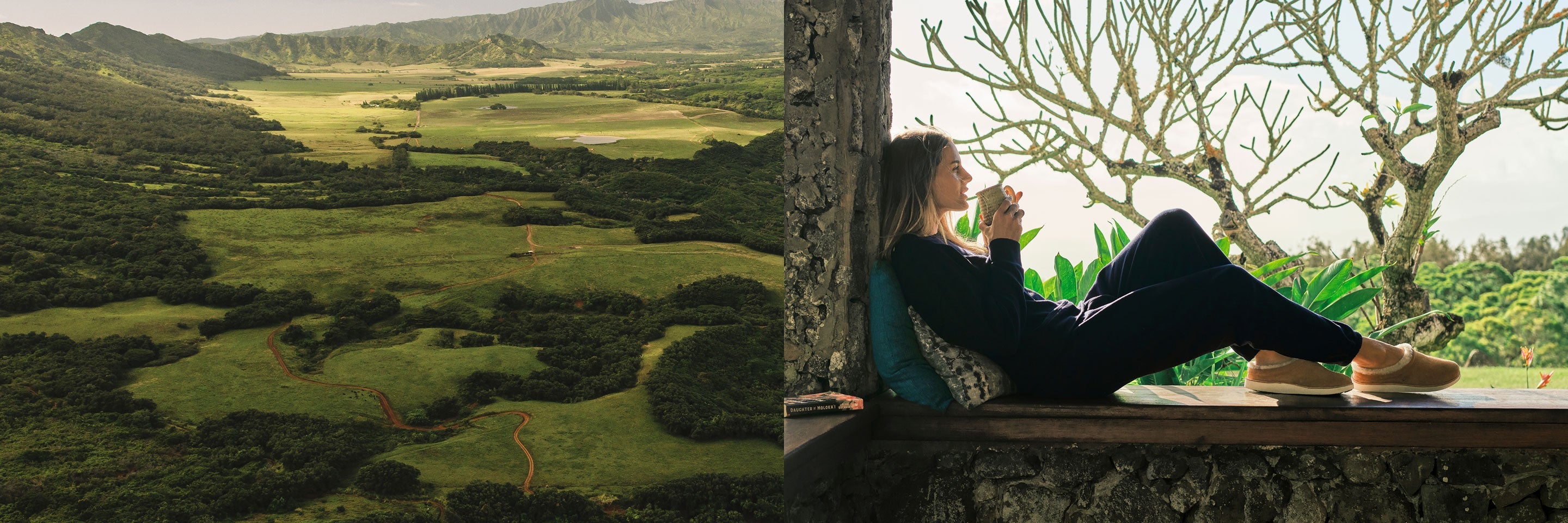 fallback text for an image